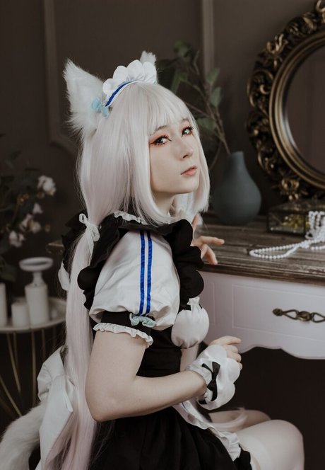 Visagefox