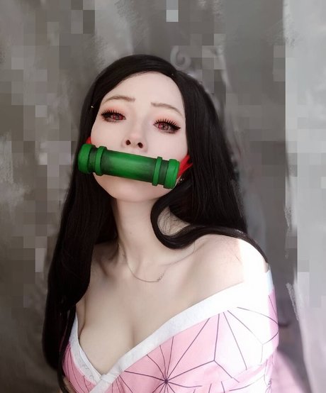 Visagefox