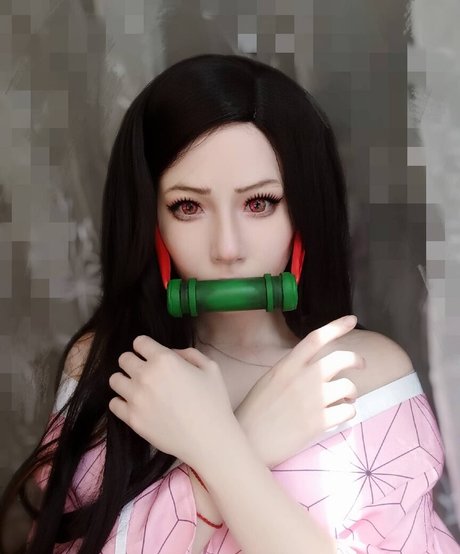 Visagefox