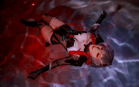 Visagefox