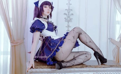 Visagefox