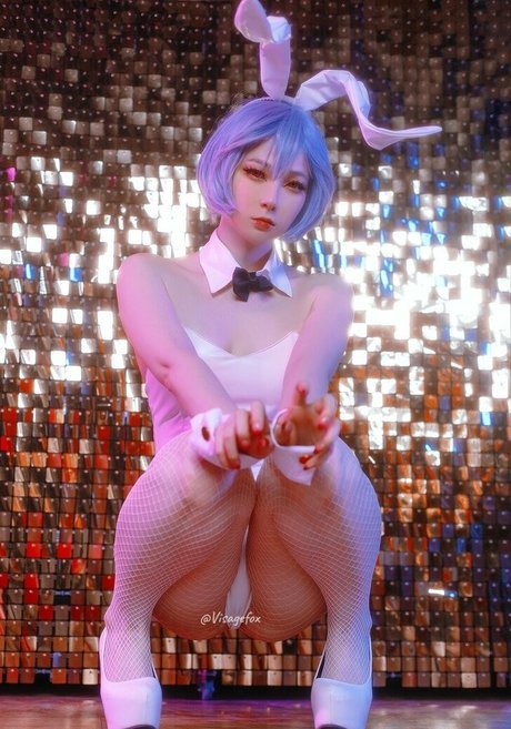 Visagefox