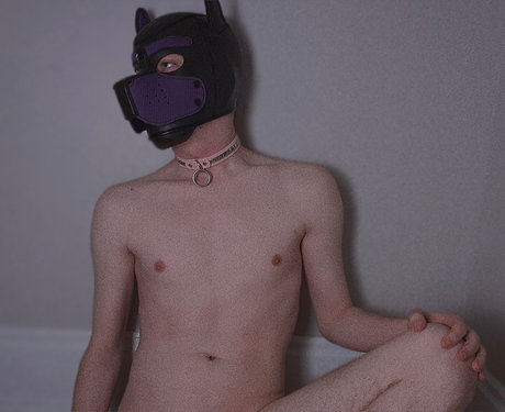 Altfixxx