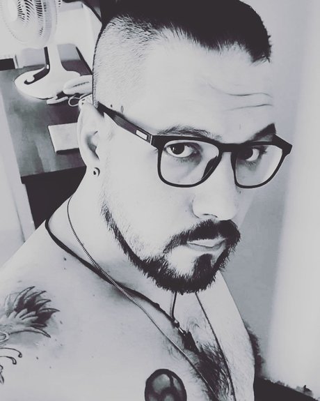 Dino O Maioral