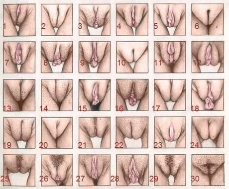 Foto desnuda filtrada de OnlyFans de 306hardluck