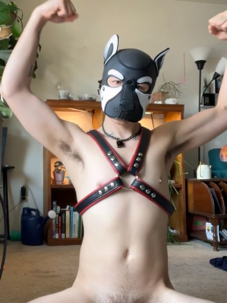 Just A Puppy