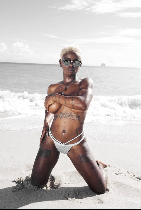 African Delight