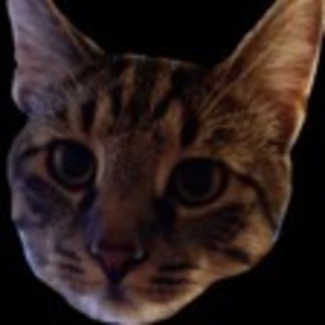 Onlycats