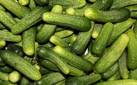 Onlypickles