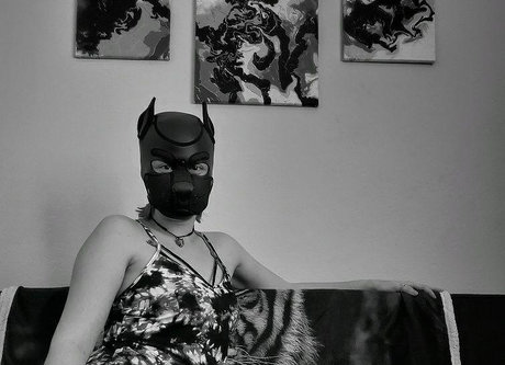 Foto desnuda filtrada de OnlyFans de Onestretchypup