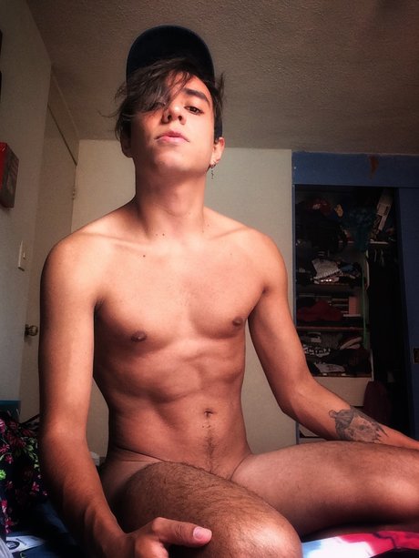 Max Gatito Grande