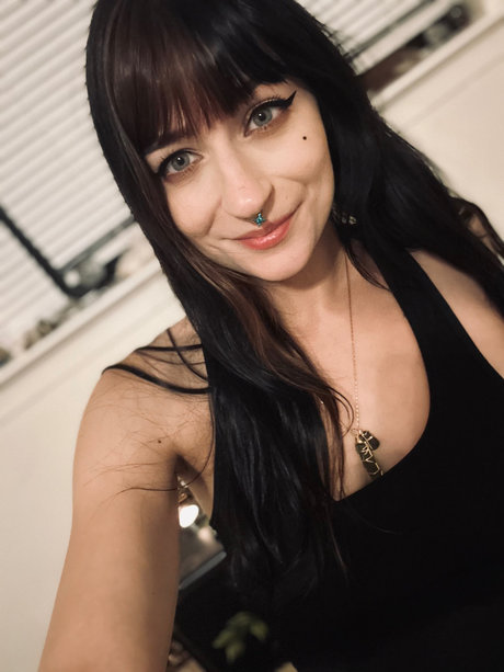 Piper