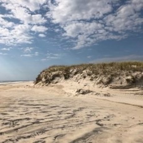 Beach Bum 102019