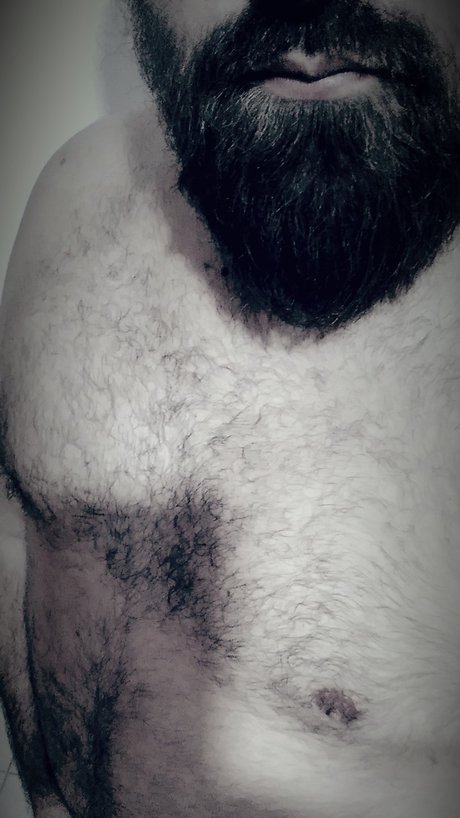 Daddybear