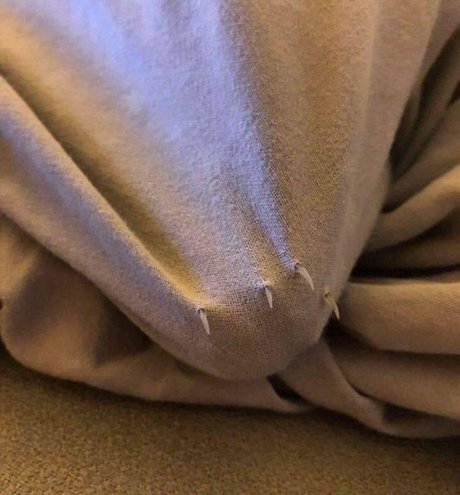 Foto desnuda filtrada de OnlyFans de Piku