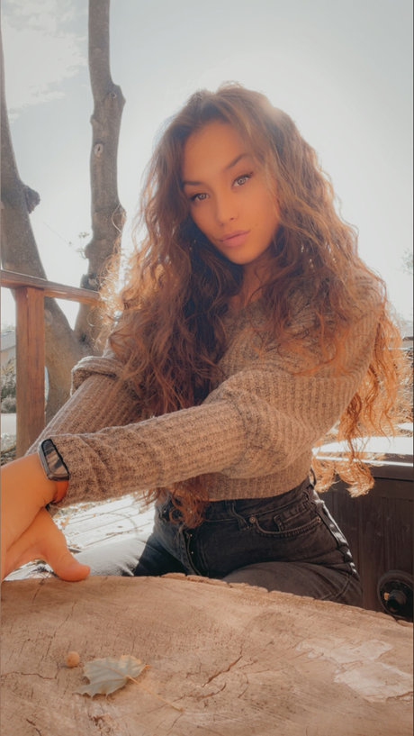 Shay