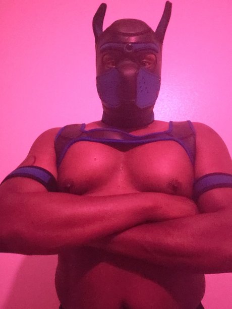 Foto desnuda filtrada de OnlyFans de Shadow Pup