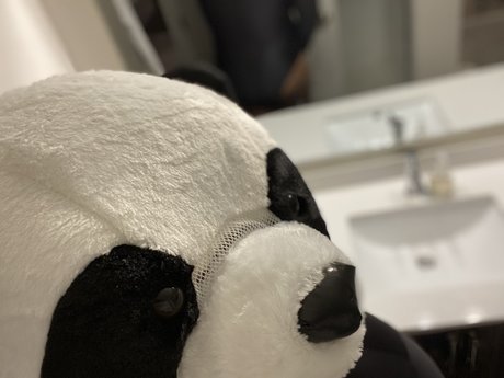 Playbear