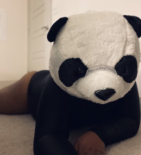 Foto desnuda filtrada de OnlyFans de Playbear