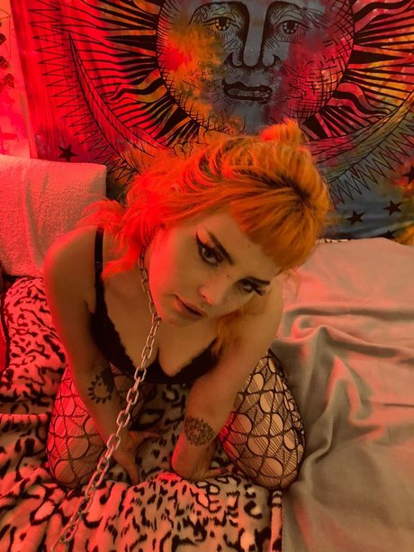 Pixie Rose