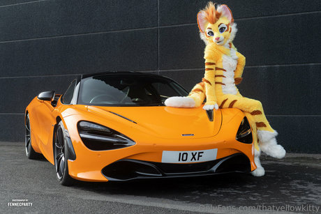 Thatyellowkitty