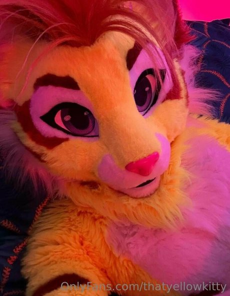 Thatyellowkitty