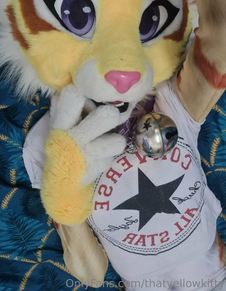 Thatyellowkitty