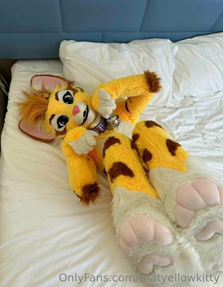 Thatyellowkitty
