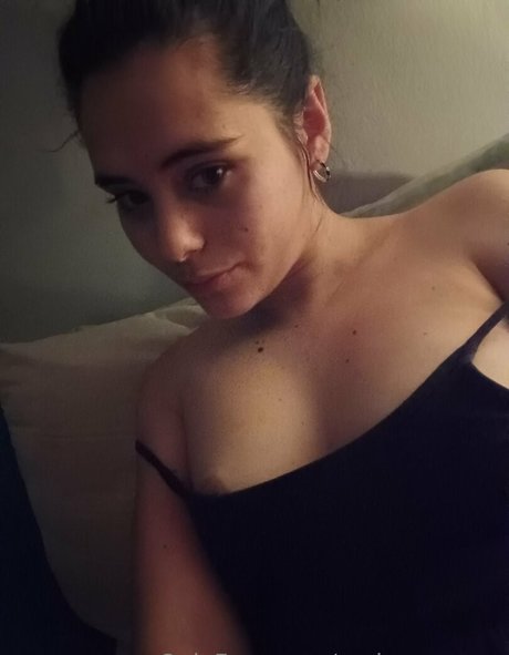 Ambermeyers