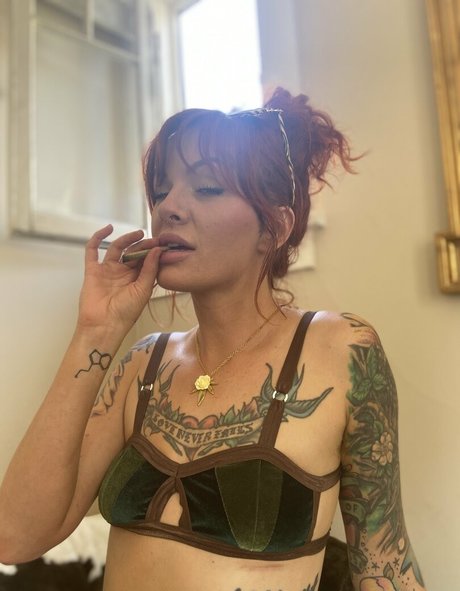 Thedannygoldexperience