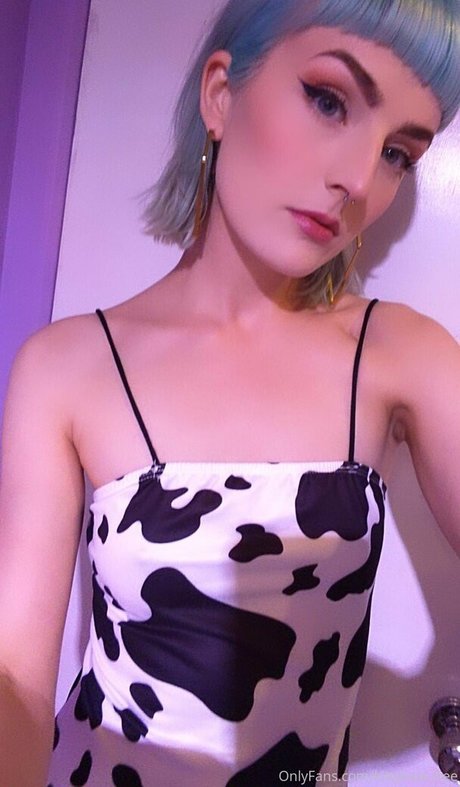 Kittykass-free