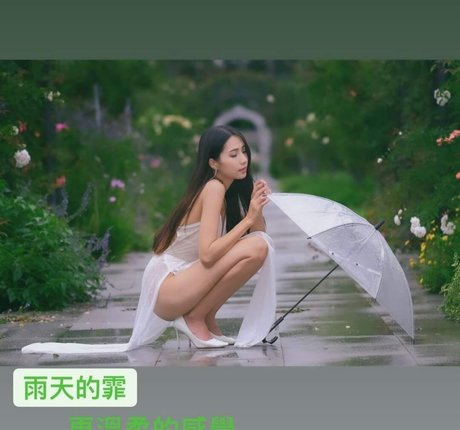 Anita Feifei