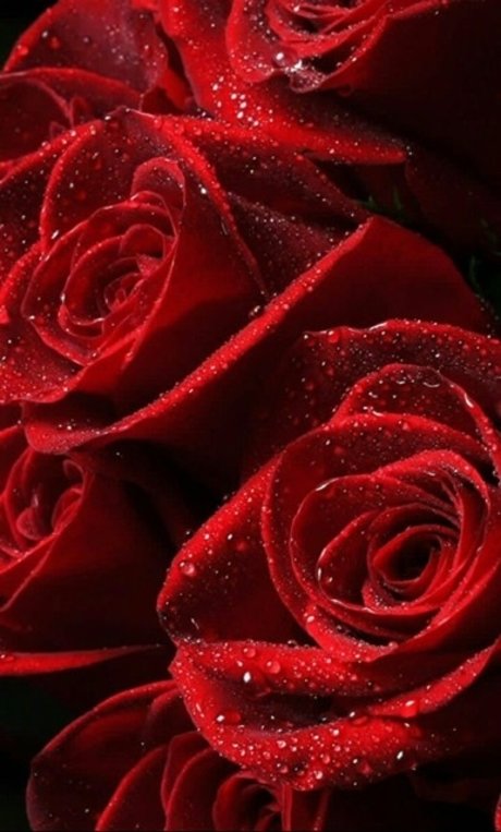 Officialprettyred