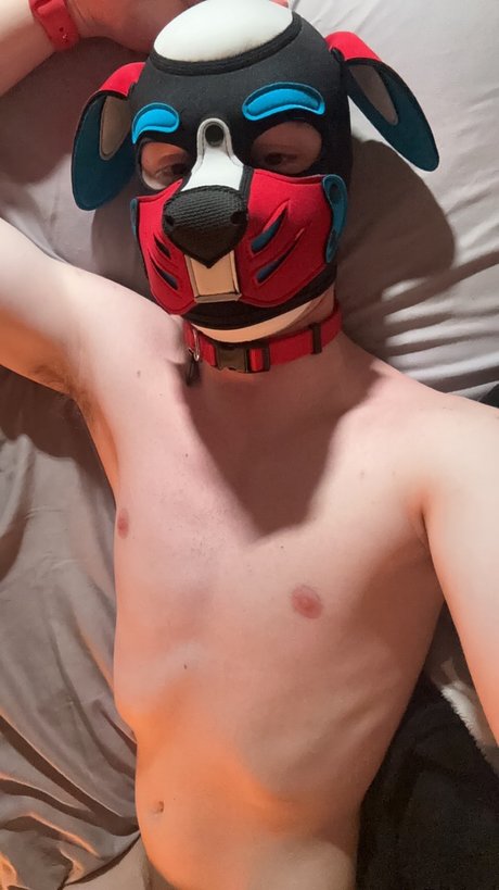 Foto desnuda filtrada de OnlyFans de Pup Orpheus