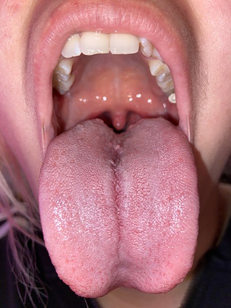 Princesuvula