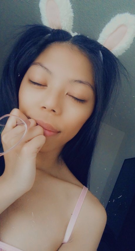 princessbunnie