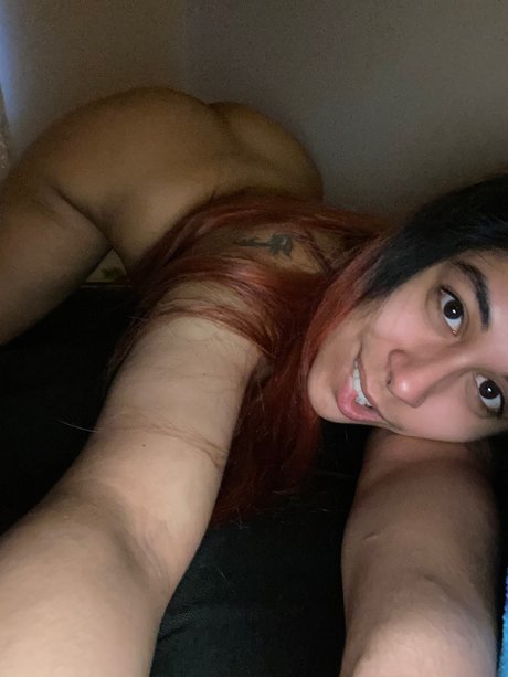 Tabby Delicious