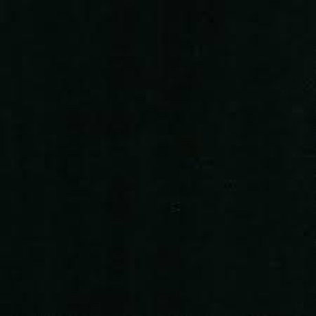 Foto desnuda filtrada de OnlyFans de Garbage