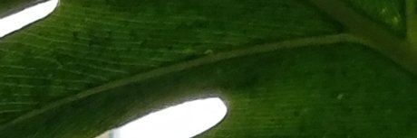 Foto desnuda filtrada de OnlyFans de Quantumorgasms