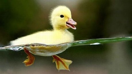 Foto desnuda filtrada de OnlyFans de Quacks