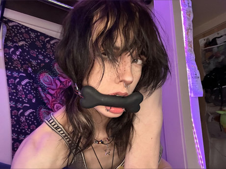 Pvppycvnt