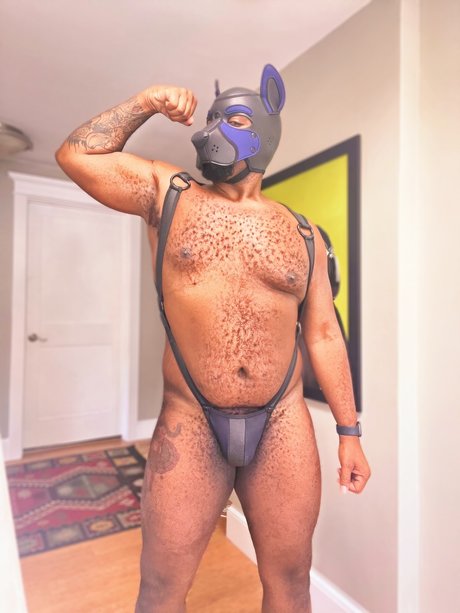 Pup Arlo