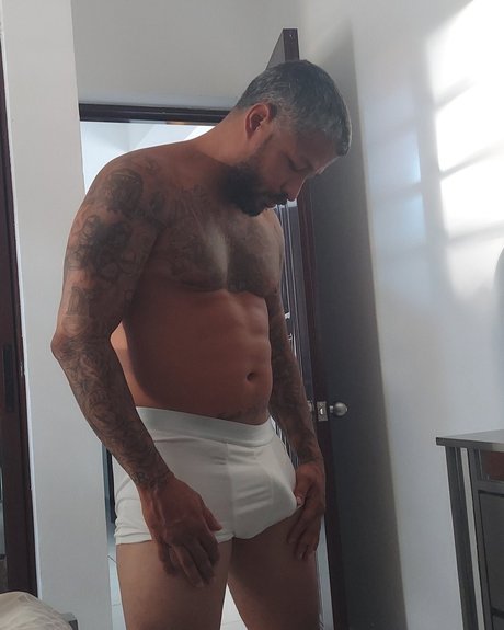 Dominican Studd