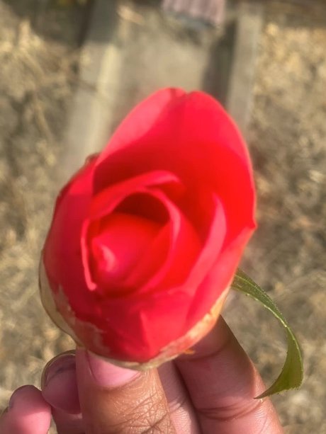 Foto desnuda filtrada de OnlyFans de Milkkkkkmarie 