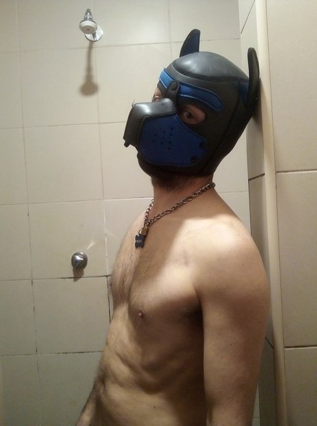 Pupregaleiro
