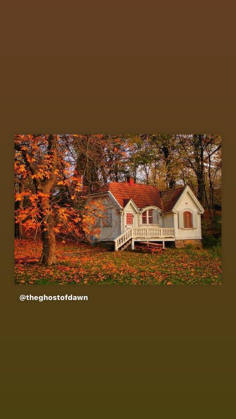 Eds Place