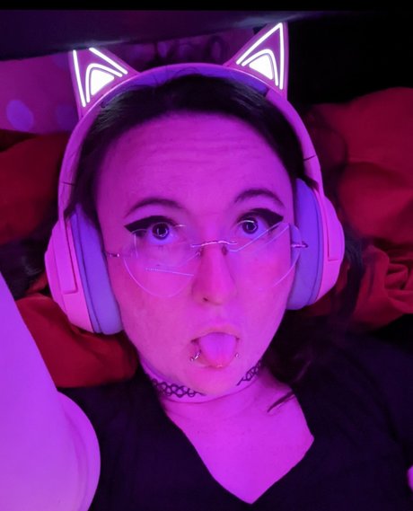  Kitty 
