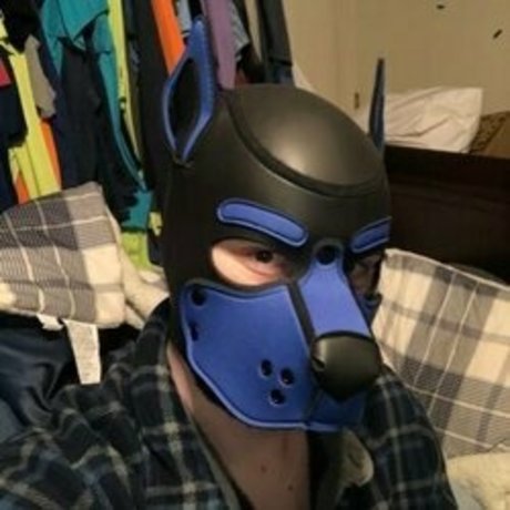 Safarikyle