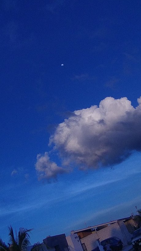 Foto desnuda filtrada de OnlyFans de Blue Sky