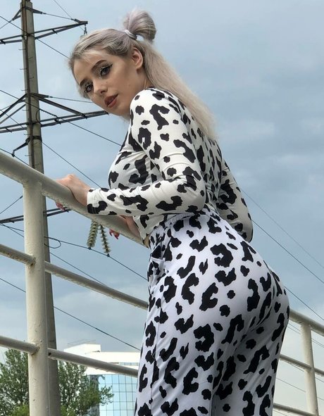 Sveta Sollar